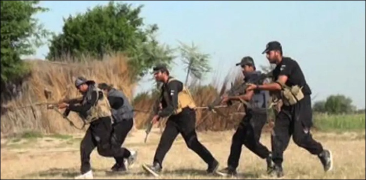 خیرپور: کچے کے علاقے میں پولیس کا بڑا آپریشن، 7 ڈاکو مارے گئے