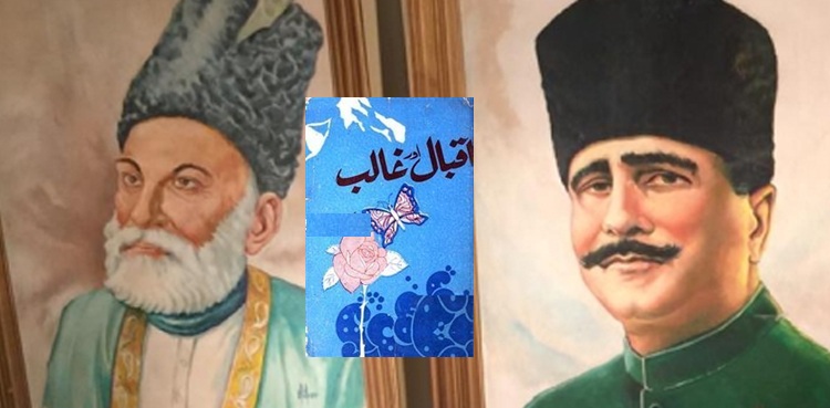 علّامہ اقبال اور مرزا غالب کے کلام میں کیا قدر مشترک ہے؟