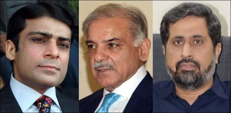 فیاض چوہان کو شہباز اور حمزہ سے متعلق اہم ٹاسک مل گیا