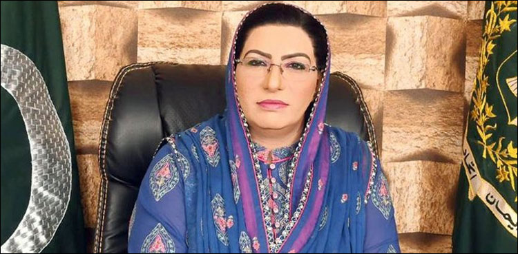 ‘لاہور قلندر اور کراچی کنگز دونوں میرے بازو ہیں’