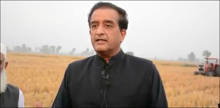 ہم نے ملک کو K2 کے برابر پلاسٹک کی آلودگی دے دی ہے: ملک امین اسلم