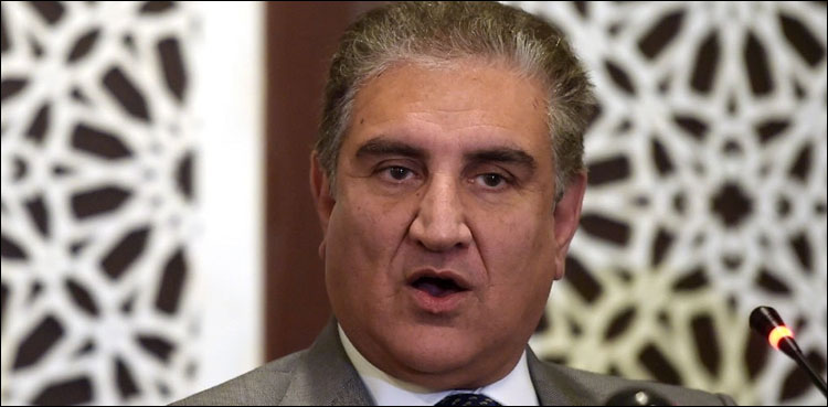 یوم استحصال کشمیر: وزیر خارجہ شاہ محمود قریشی کی قیادت میں ریلی