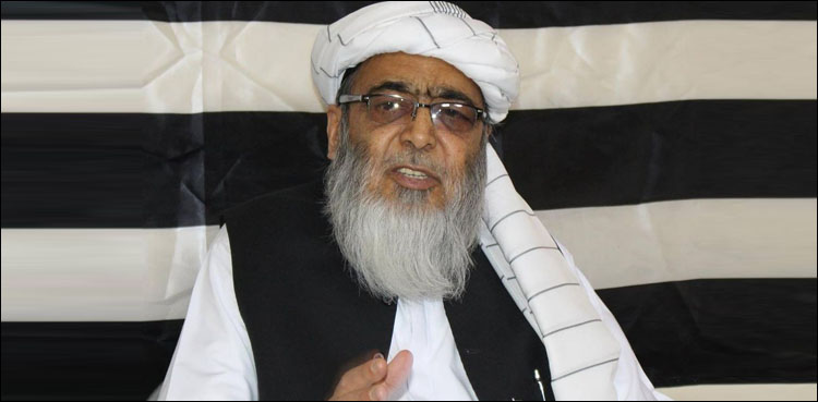 حافظ حسین احمد کے فضل الرحمان اور نواز شریف سے متعلق اہم انکشافات