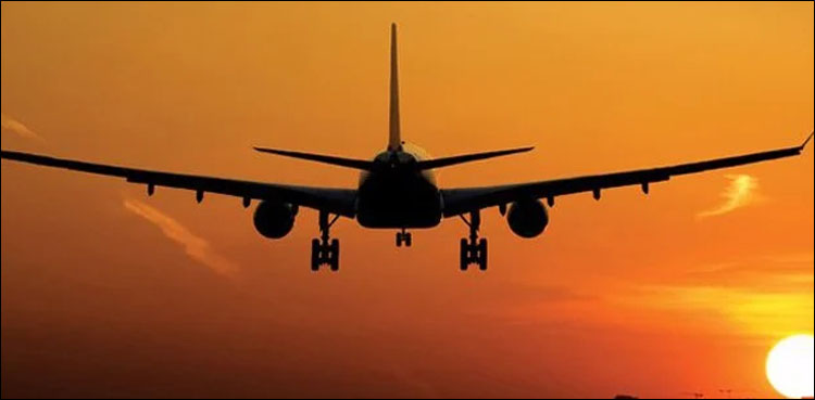 چوہے نے کراچی آنے والی پرواز منسوخ‌ کروادی