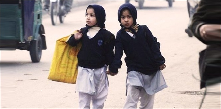 نومبر سے جنوری تک موسم سرما کی تعطیلات ، اہم خبر آگئی
