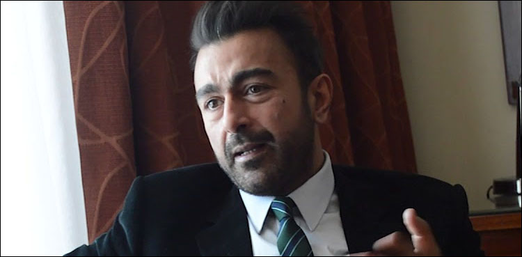 ایل او سی پر بھارتی جارحیت: اداکار شان برس پڑے