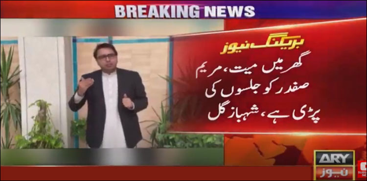 گھر میں میت پڑی ہے، مریم صفدر کو سیاست کی پڑی ہے، شہباز گل