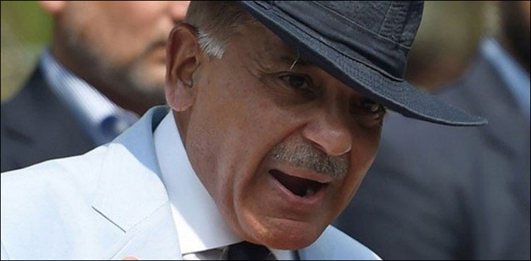 شہباز شریف کے اثاثہ جات 20 لاکھ سے 7 ارب کیسے ہوئے؟