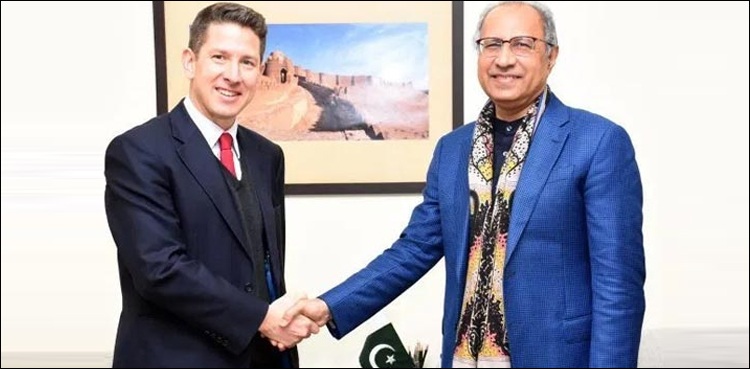 برطانوی حکومت کی  پاکستان کو معاشی  بہتری کیلئے مکمل تعاون یقین دہانی