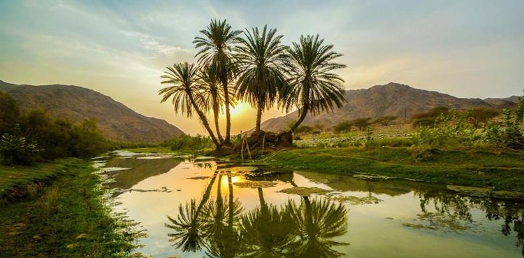 سعودی عرب