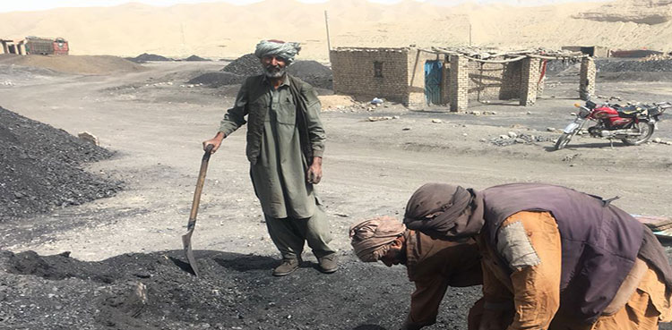 مزدوروں کی کم سے کم اجرت 20 ہزار روپے مقرر