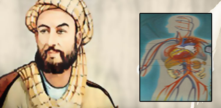 ابنِ سینا اور جالینوس سے اختلاف کرنے والا ابن النفیس