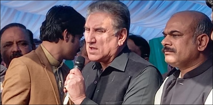 سینیٹ الیکشن میں ووٹوں کی خریداری کی آواز سنائی دے رہی ہے: شاہ محمود
