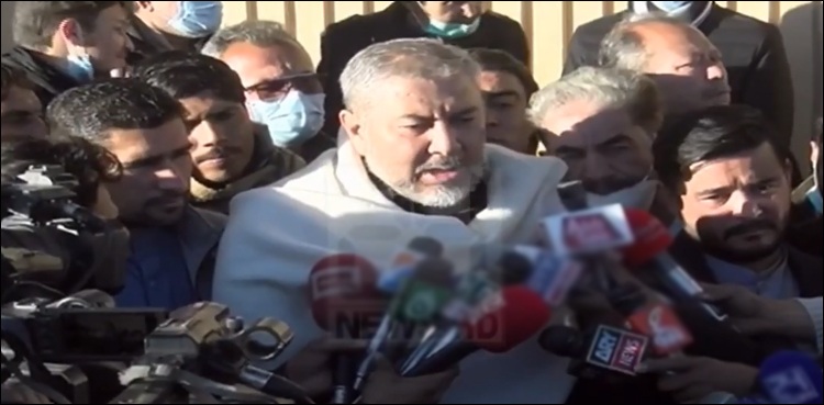 ملاقات میں وزیر اعظم نے بلیک میلنگ والے جملے کی وضاحت کر دی: آغا رضا