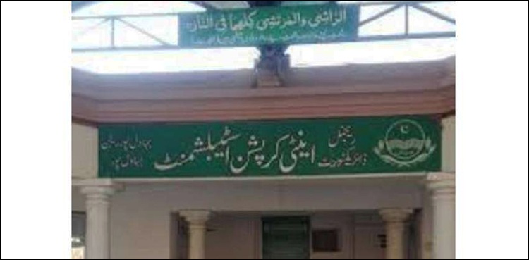 300 ارب کا اسکینڈل، مرکزی ملزم کی ضمانت منظور