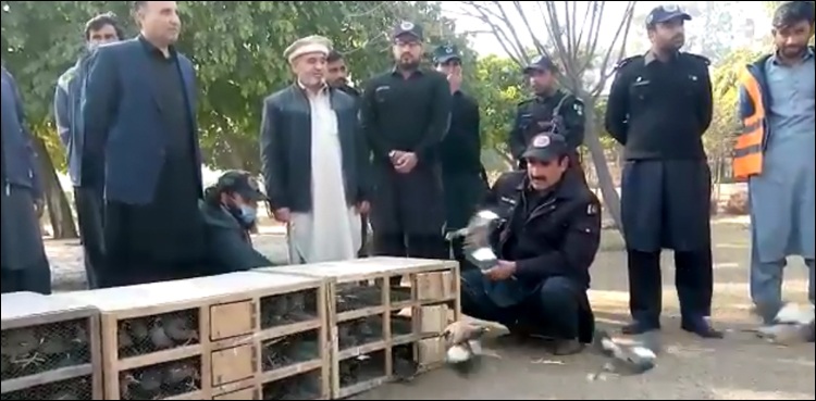 پشاور: پرندوں کے شکاری گرفتار