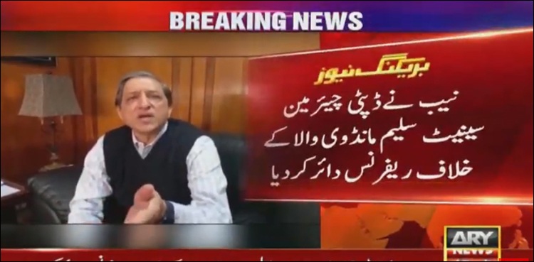 نیب نے ڈپٹی چیئرمین سینیٹ کے خلاف ریفرنس دائر کر دیا