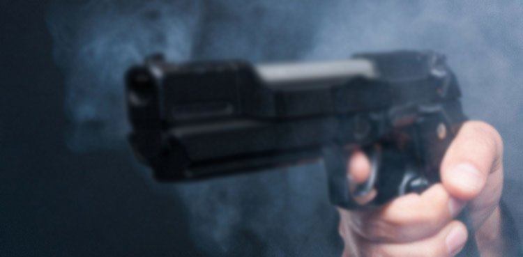 پنجاب حکومت نے 888 افراد کے اسلحہ لائسنس منسوخ کردیئے