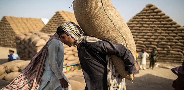 بےنظیر مزدور کارڈ ‌کا اجرا :سندھ حکومت  نے مزدوروں کو بڑی خوشخبری سنادی