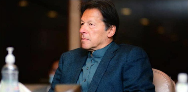 حلیم عادل شیخ کے کمرے سے سانپ برآمد: وزیراعظم کو تمام حالات اور واقعات سے آگاہ کر دیا گیا