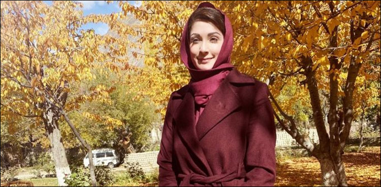 مریم نواز پر فلم بنی تو کون سی اداکارہ ان کا کردار ادا کریں گی؟