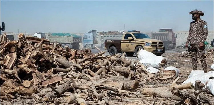 سعودی عرب: نیا قانون نافذ، خلاف ورزی پر بھاری جرمانے