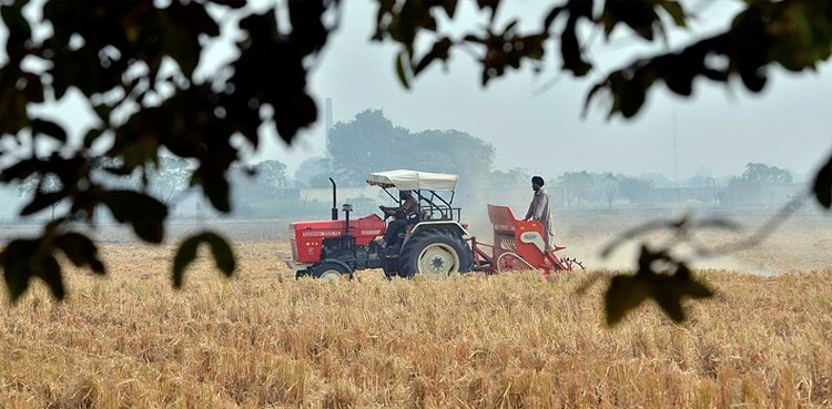 کھاد