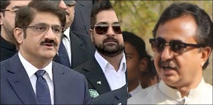 مراد علی شاہ نے مجھے جیل بھیج کر سیاست کی ڈگری دلوا دی، حلیم عادل شیخ