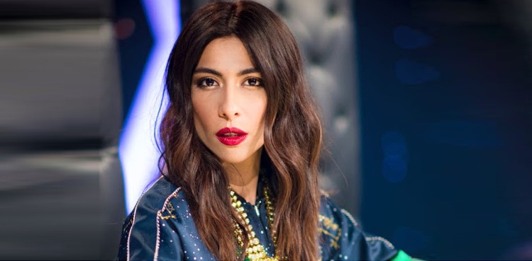 اداکار علی ظفر کیخلاف سوشل میڈیا مہم کیس:  میشا شفیع کے خلاف چالان پیش کرنے کا حکم