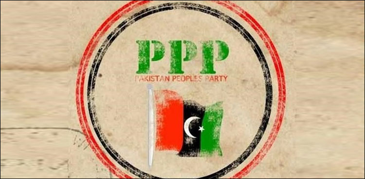 پیپلز پارٹی نے کراچی پی ایس 88 کا ضمنی انتخاب بھی جیت لیا