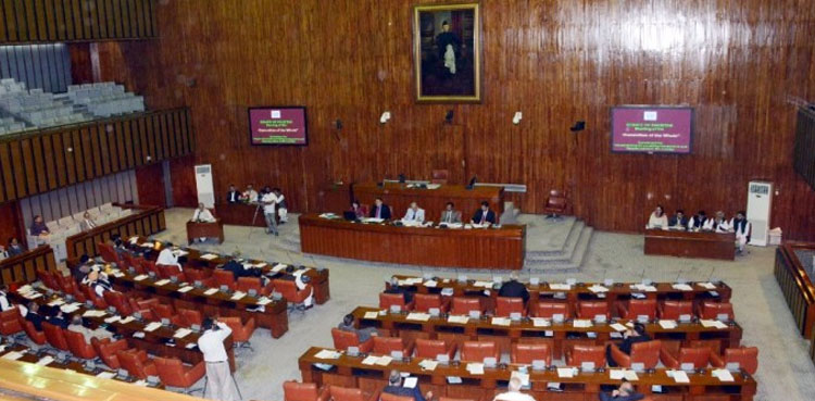 قومی اسمبلی کے بعد سینیٹ میں  بھی نیب ترمیمی بل اور الیکشن ایکٹ ترمیمی بل 2022 منظور