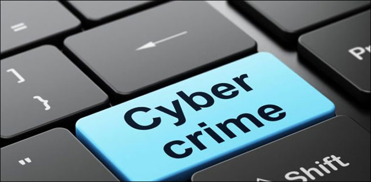سائبر فراڈ اور ڈیجیٹل منی لانڈرنگ میں ملوث نیٹ ورک بے نقاب، 12 کال سنٹرز سیل