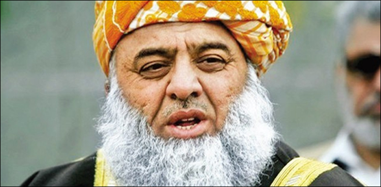 استعفے، مولانا فضل الرحمان نے پی پی کو جمہوری اصول یاد دلا دیا