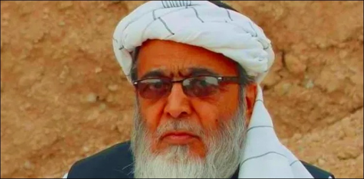 قومی اسمبلی میں جو پی ڈی ایم نے کیا، سینیٹ میں وہی حکومت نے کیا: حافظ حسین