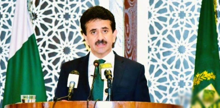 پاکستان کا عالمی برادری سے کشمیریوں کے ماورائےعدالت قتل کی تحقیقات کرانے کا مطالبہ