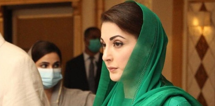 کیا مریم نواز وزیراعلیٰ پنجاب بن سکتی ہیں؟ رانا ثناللہ نے کیا جواب دیا