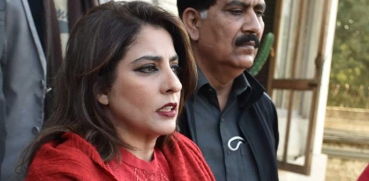 پلوشہ خان  سینیٹ انتخابات لڑنے کیلئے اہل قرار