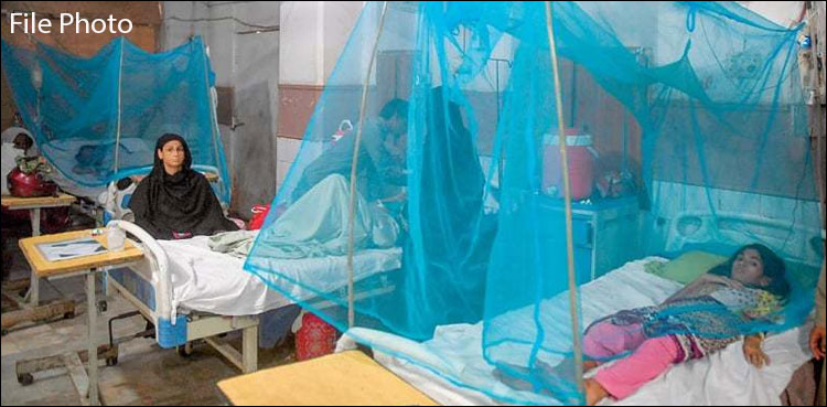 پاکستان میں ڈینگی کا پھیلاؤ: ماہرین نے خبردار کردیا