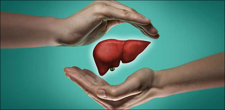 اپنے جگر کا خیال رکھنے کا دن