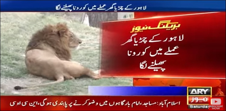 لاہور کے چڑیا گھر میں‌ کرونا پھیلنے لگا!