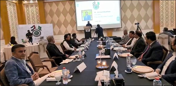 متحدہ عرب امارات کے ساتھ تعلقات میں‌ ہر روز بہتری آرہی ہے، شاہ محمود قریشی