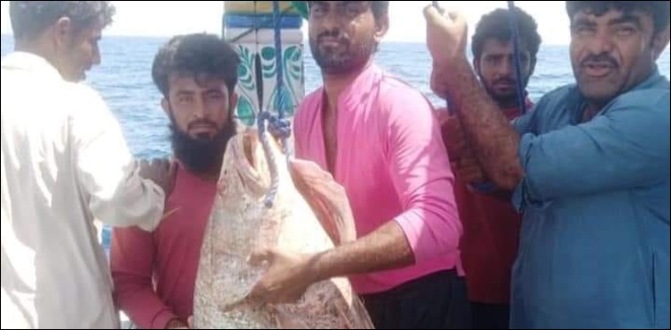 قسمت مہربان، گوادر کا ماہی گیر راتوں رات لکھ پتی بن گیا