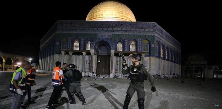 "جنگ بندی کافی نہیں اسرائیل کو فلسطین سے نکلنا ہوگا”
