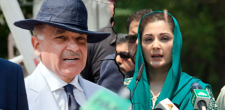 پیپلزپارٹی اور اے این پی کی پی ڈی ایم میں دوبارہ شمولیت ، شہبازشریف اور مریم نواز میں اختلاف