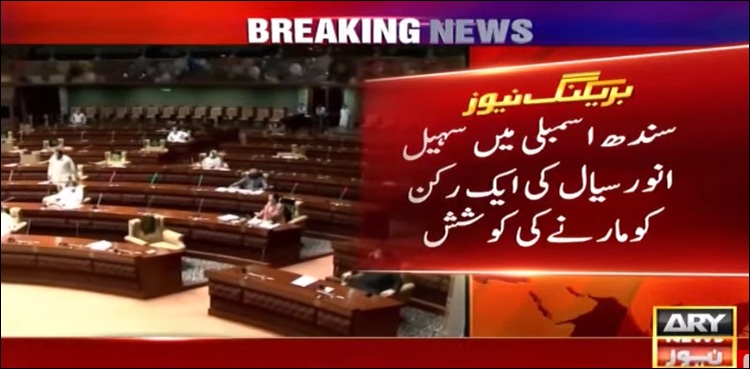 سندھ اسمبلی میں گرما گرمی، سہیل انور سیال کی پی ٹی آئی رکن کو مارنے کی کوششش