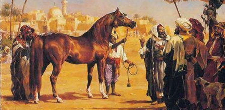 چرواہے کا بیٹا (حکایت)