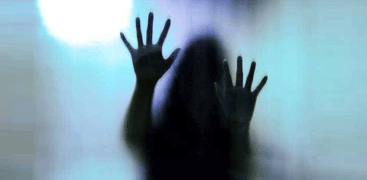 اینٹی ریپ کرائسز سیل کے قیام کی سمری وزیر اعظم کو ارسال