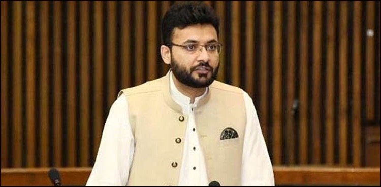‘امپورٹڈ حکومت’ ڈومور کے لئے لائی گئی ہے، فرخ حبیب