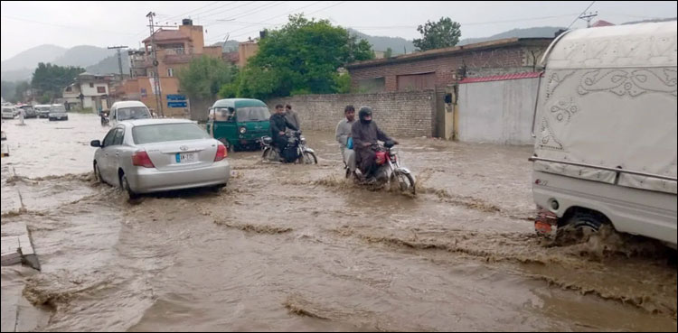 ایبٹ آباد: طوفانی بارشوں میں نایاب نسل کے 200 پرندے ہلاک