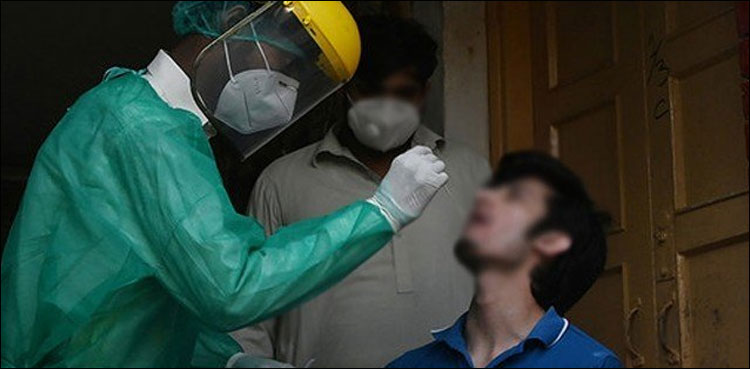 ملک میں کورونا وائرس کی شرح 6.12فیصد ہوگئی، این سی او سی